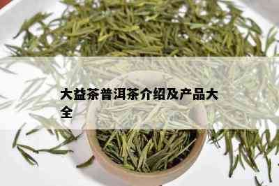 大益茶普洱茶介绍及产品大全