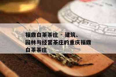 福鼎白茶茶庄 - 建筑、园林与经营茶庄的重庆福鼎白茶茶庄