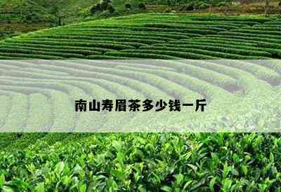 南山寿眉茶多少钱一斤