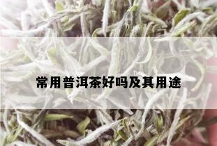 常用普洱茶好吗及其用途