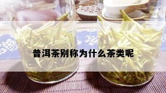 普洱茶别称为什么茶类呢