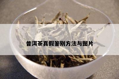 普洱茶真假鉴别方法与图片