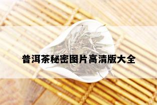 普洱茶秘密图片高清版大全