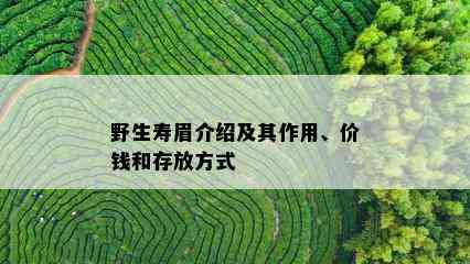 野生寿眉介绍及其作用、价钱和存放方式