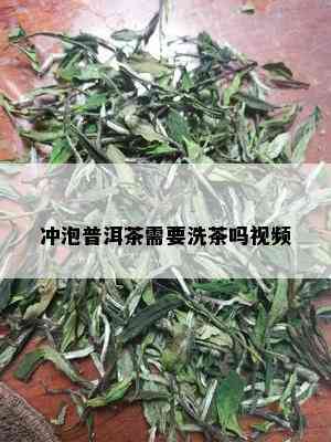 冲泡普洱茶需要洗茶吗视频