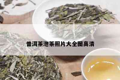 普洱茶泡茶照片大全图高清