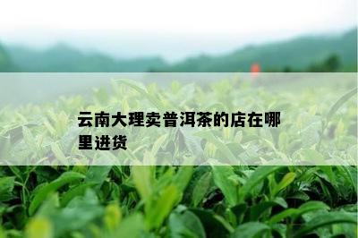 云南大理卖普洱茶的店在哪里进货