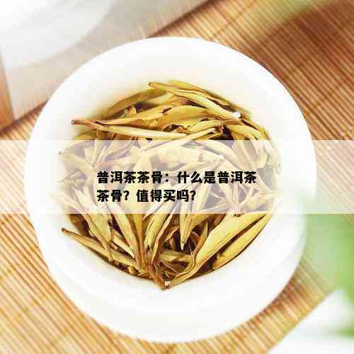 普洱茶茶骨：什么是普洱茶茶骨？值得买吗？