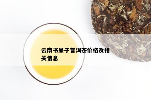 云南书呆子普洱茶价格及相关信息