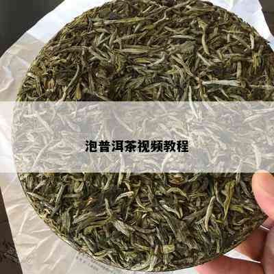 泡普洱茶视频教程