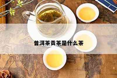 普洱茶贡茶是什么茶