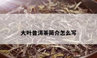 大叶普洱茶简介怎么写