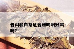 普洱和白茶适合谁喝啊好喝吗？