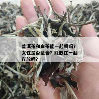 普洱茶和白茶能一起喝吗？女性是否适合？能放在一起存放吗？