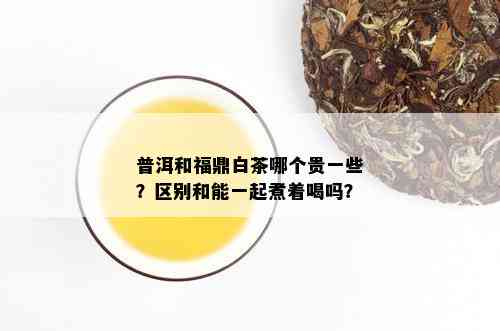 普洱和福鼎白茶哪个贵一些？区别和能一起煮着喝吗？