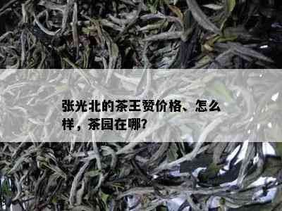 张光北的茶王赞价格、怎么样，茶园在哪？