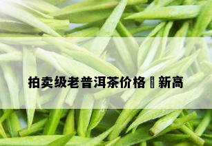 拍卖级老普洱茶价格創新高