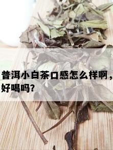 普洱小白茶口感怎么样啊，好喝吗？