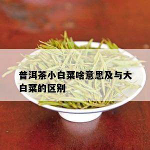 普洱茶小白菜啥意思及与大白菜的区别