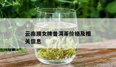 云南濮女牌普洱茶价格及相关信息