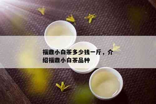 福鼎小白茶多少钱一斤，介绍福鼎小白茶品种