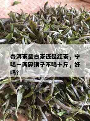 普洱茶是白茶还是红茶，宁喝一两碎银子不喝十斤，好吗？