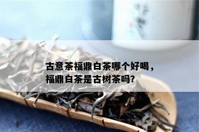 古意茶福鼎白茶哪个好喝，福鼎白茶是古树茶吗？