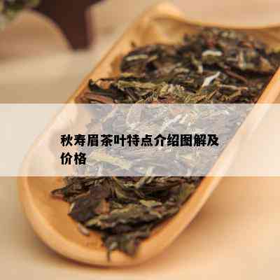 秋寿眉茶叶特点介绍图解及价格