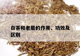 白茶和老眉的作用、功效及区别