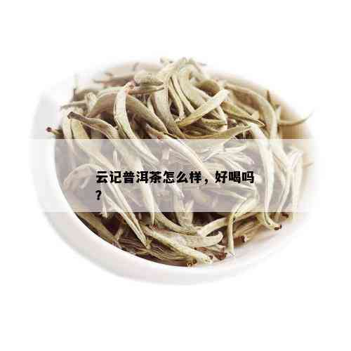 云记普洱茶怎么样，好喝吗？