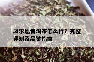 凤求凰普洱茶怎么样？完整评测及品鉴指南