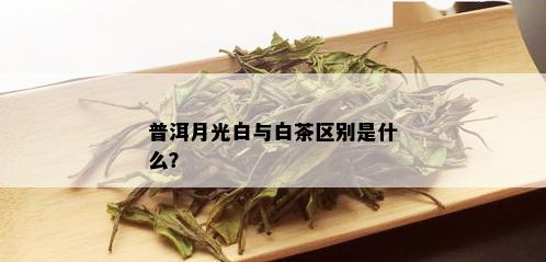 普洱月光白与白茶区别是什么？