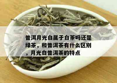 普洱月光白属于白茶吗还是绿茶，和普洱茶有什么区别，月光白普洱茶的特点