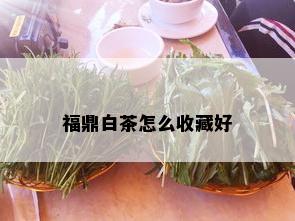 福鼎白茶怎么收藏好