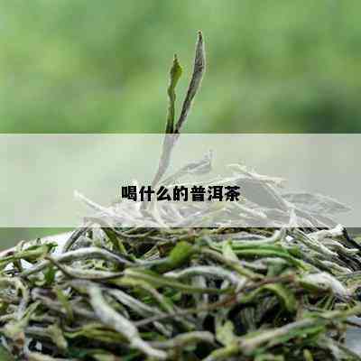 喝什么的普洱茶