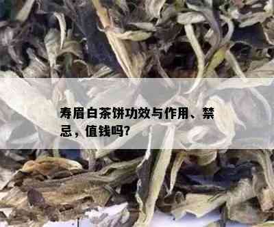 寿眉白茶饼功效与作用、禁忌，值钱吗？