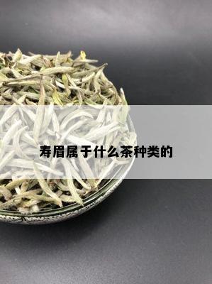 寿眉属于什么茶种类的