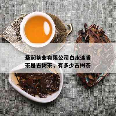 圣润茶业有限公司白水迷香茶是古树茶，有多少古树茶