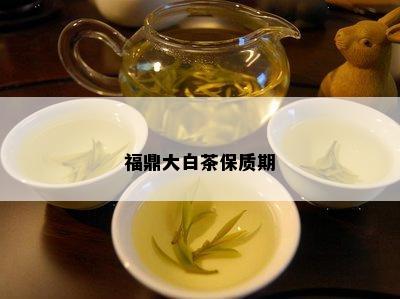 福鼎大白茶保质期