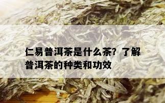 仁易普洱茶是什么茶？了解普洱茶的种类和功效