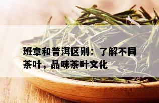 班章和普洱区别：了解不同茶叶，品味茶叶文化