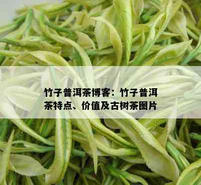 竹子普洱茶博客：竹子普洱茶特点、价值及古树茶图片