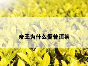 帝王为什么爱普洱茶