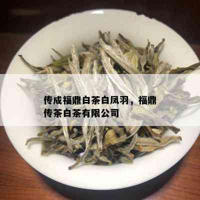 传成福鼎白茶白凤羽，福鼎传茶白茶有限公司