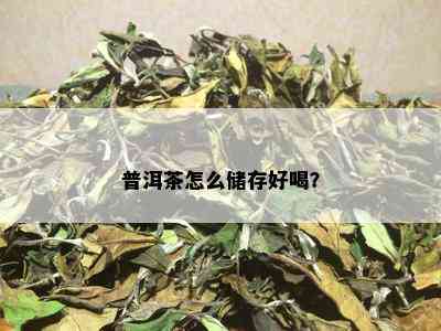 普洱茶怎么储存好喝？