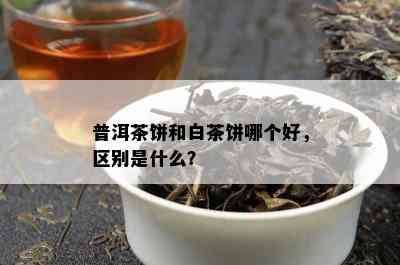 普洱茶饼和白茶饼哪个好，区别是什么？