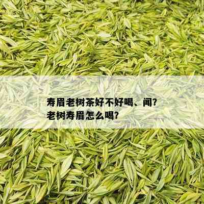 寿眉老树茶好不好喝、闻？老树寿眉怎么喝？