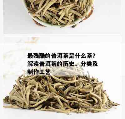 最残酷的普洱茶是什么茶？解读普洱茶的历史、分类及制作工艺