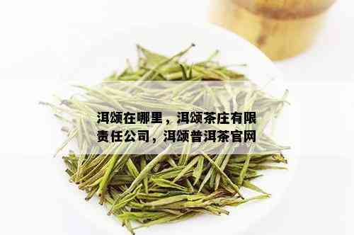 洱颂在哪里，洱颂茶庄有限责任公司，洱颂普洱茶官网