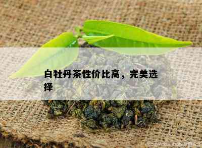 白牡丹茶性价比高，完美选择